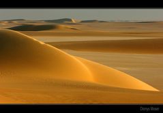 Im Grossen Sandmeer Ägyptens