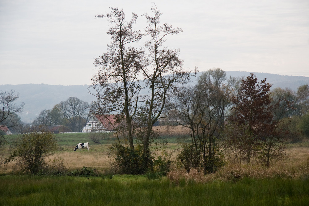 Im Großen Torfmoor