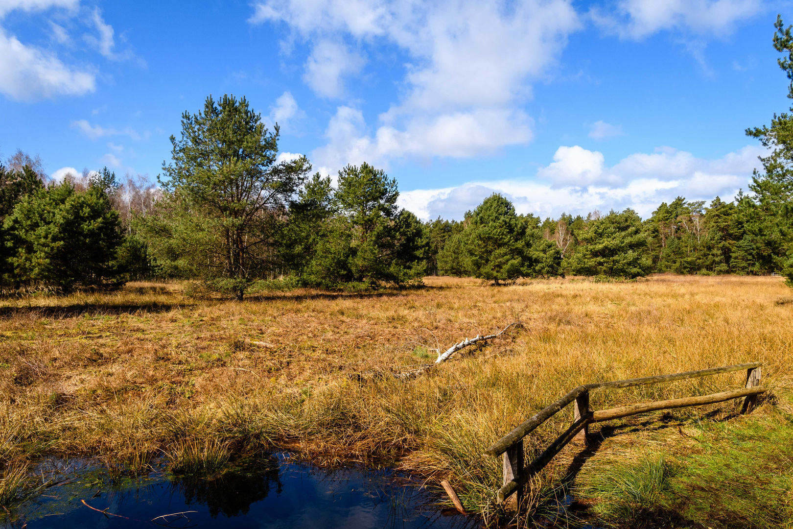 Im Großen und Weißen Moor