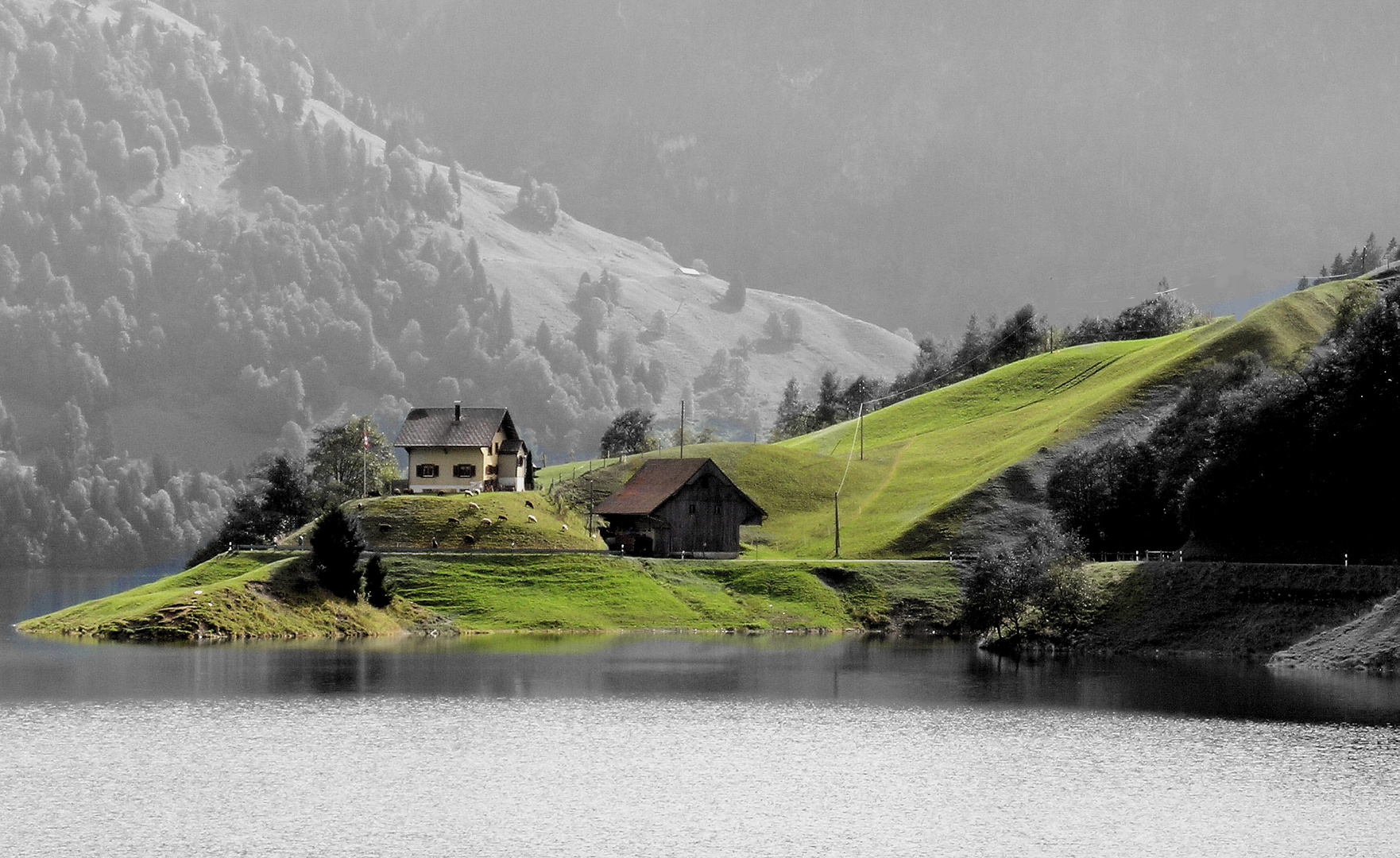 Im Grün zu Hause