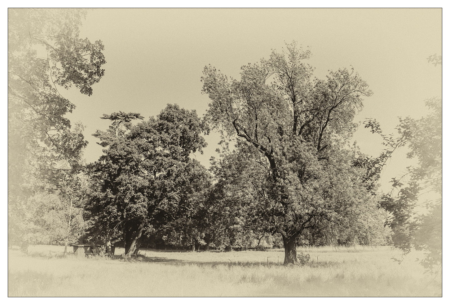 Im Grünefelder Park