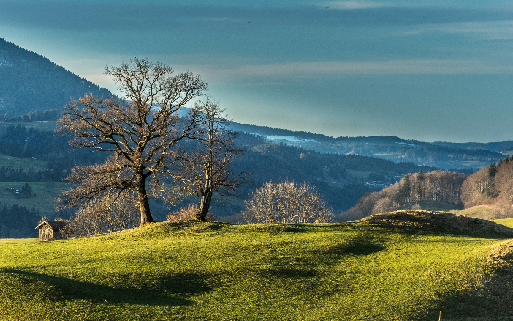 im Grünen