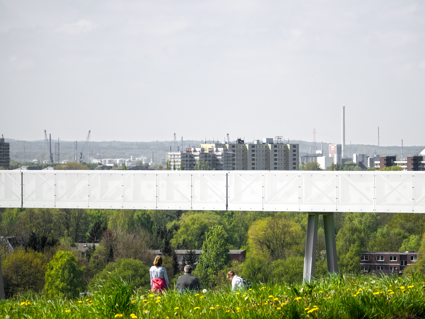 Im Grünen (Beim Monatswettbewerb Wanderwege rausgeflogen)