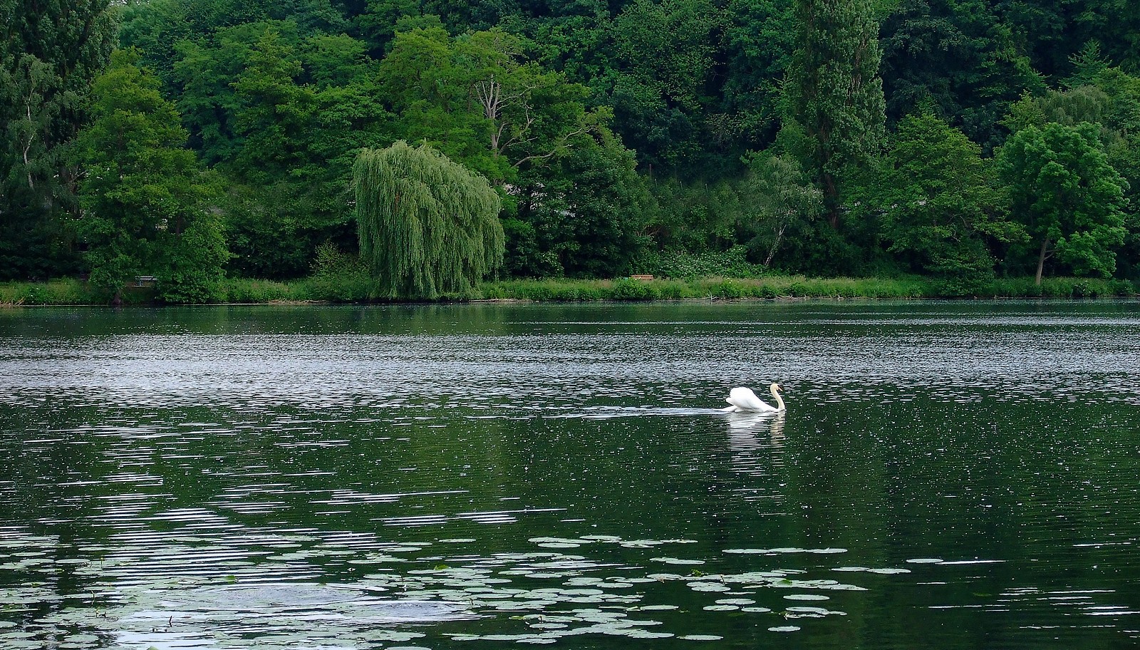 Im grünen Bereich