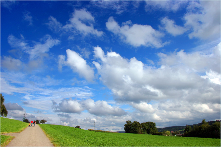 Im Grünen