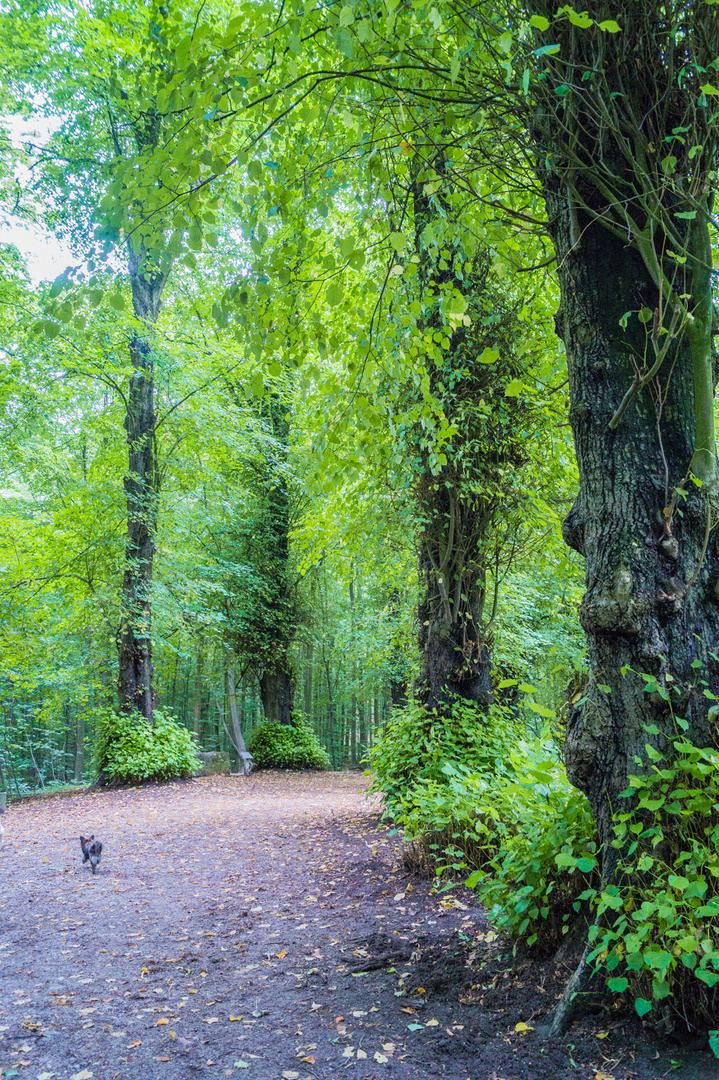 Im grünen Herzen Kiels