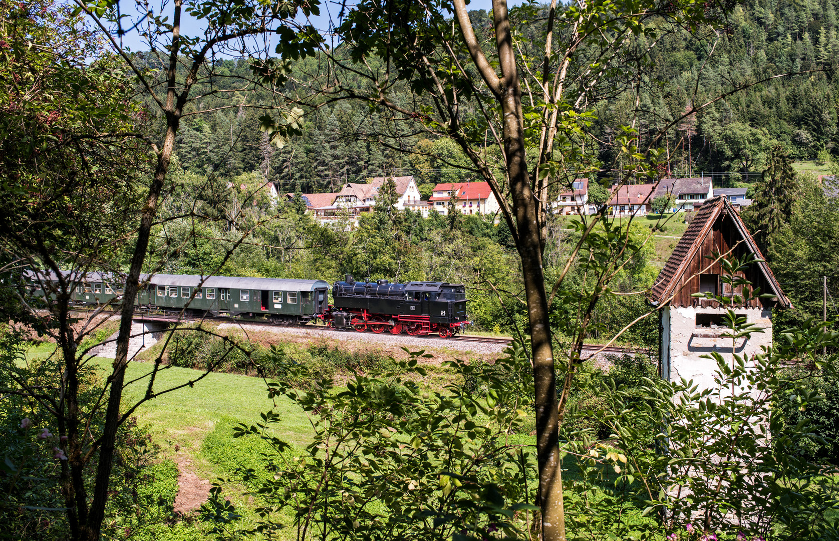 Im grünen Hinterhalt