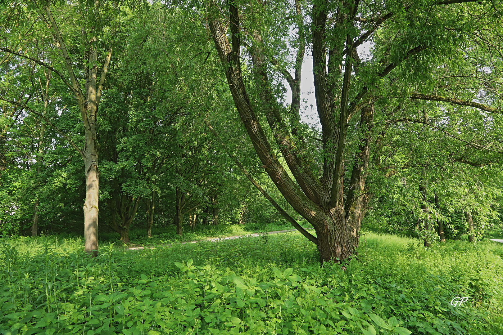 im Grünen II