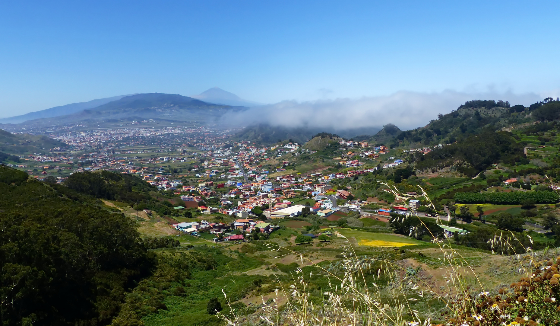 Im grünen Norden Teneriffas