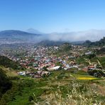 Im grünen Norden Teneriffas