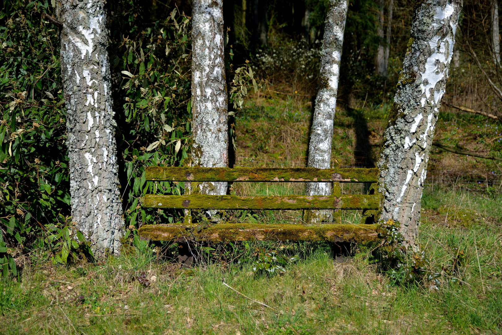 Im Grünen sitzen