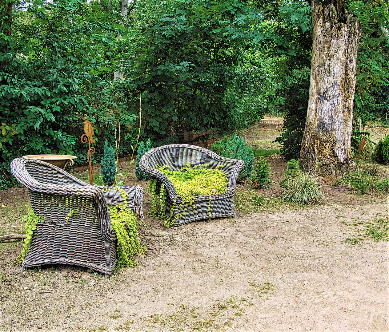 ... im Grünen "sitzen"