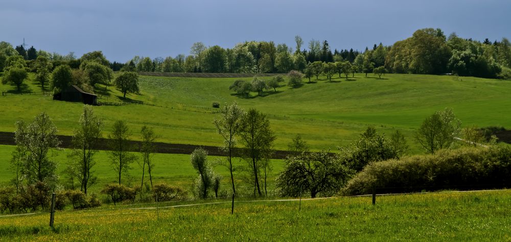 Im grünen Tal