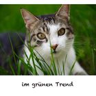 im grünen Trend