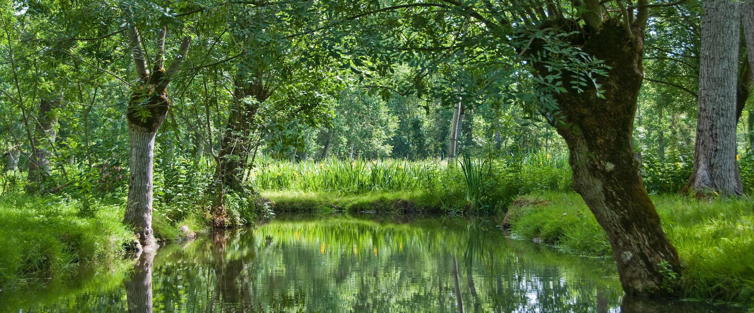 Im "grünen Venedig" - Marais Poitvin