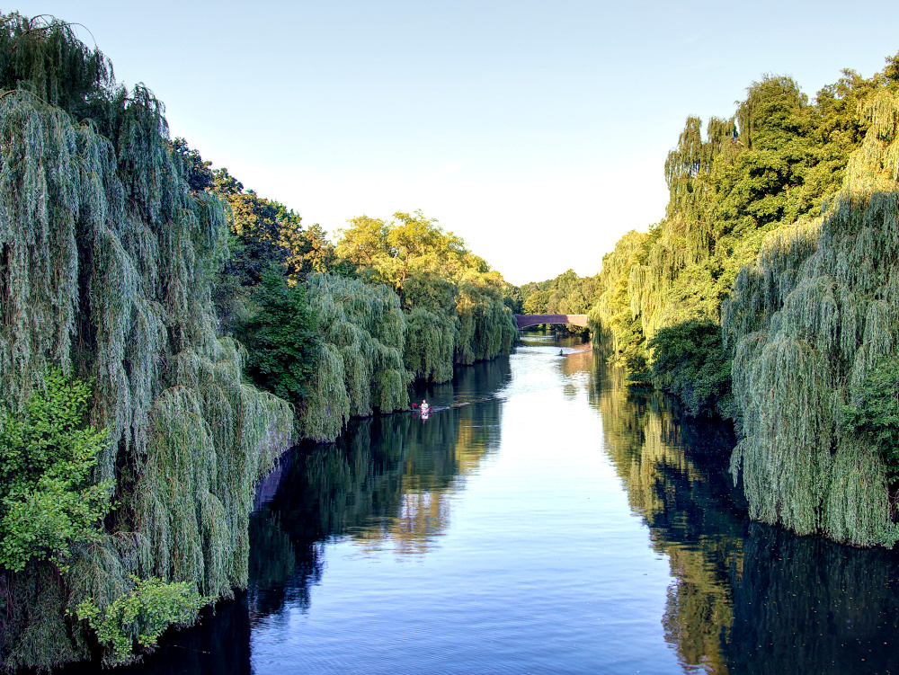 Im Grünkanal