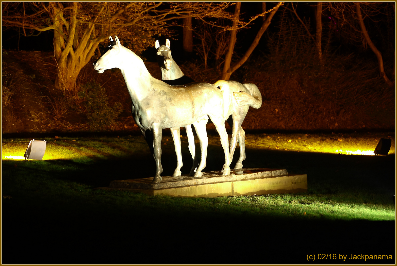 Im Grugapark bei Nacht