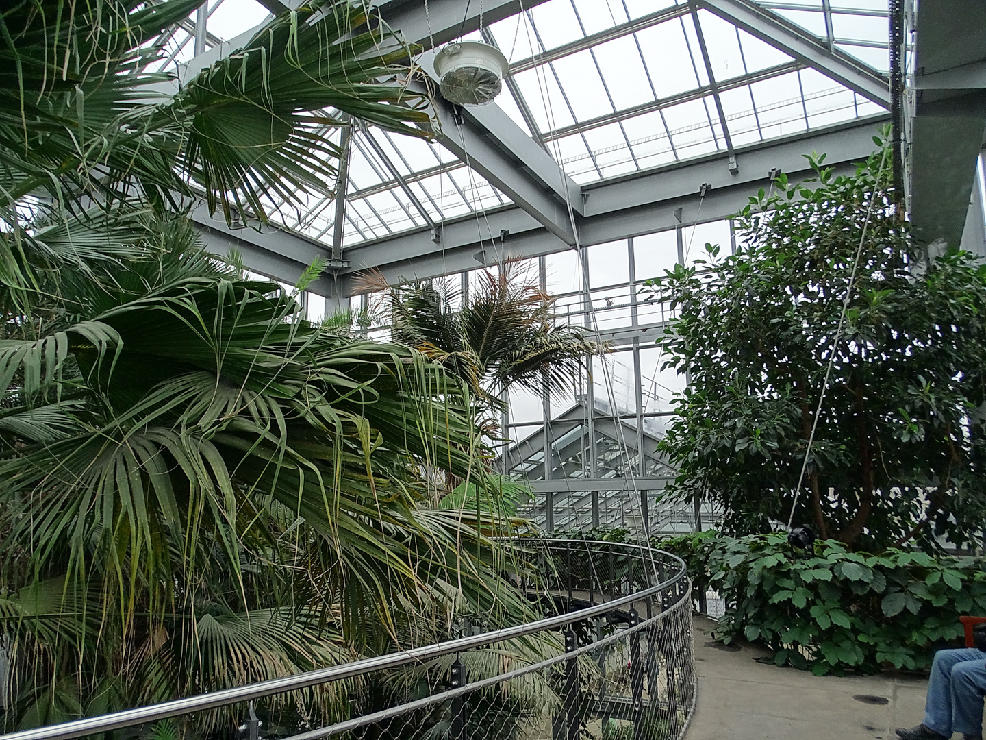 Im Gruson Gewächshaus Foto & Bild city, world, natur Bilder auf