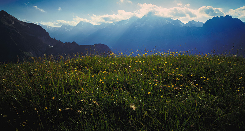 Im Gschnitztal