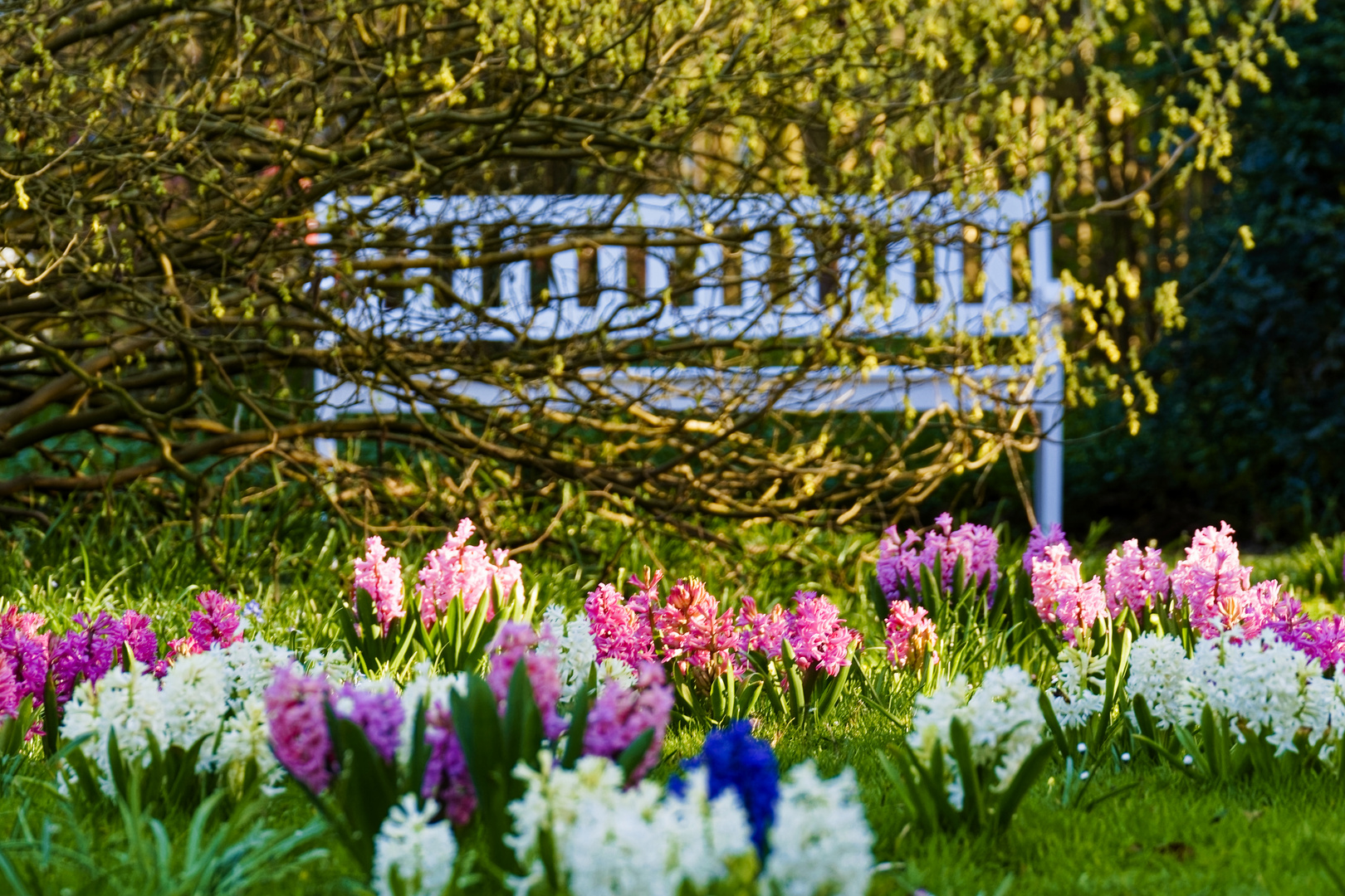 Im Gütersloher Stadtpark