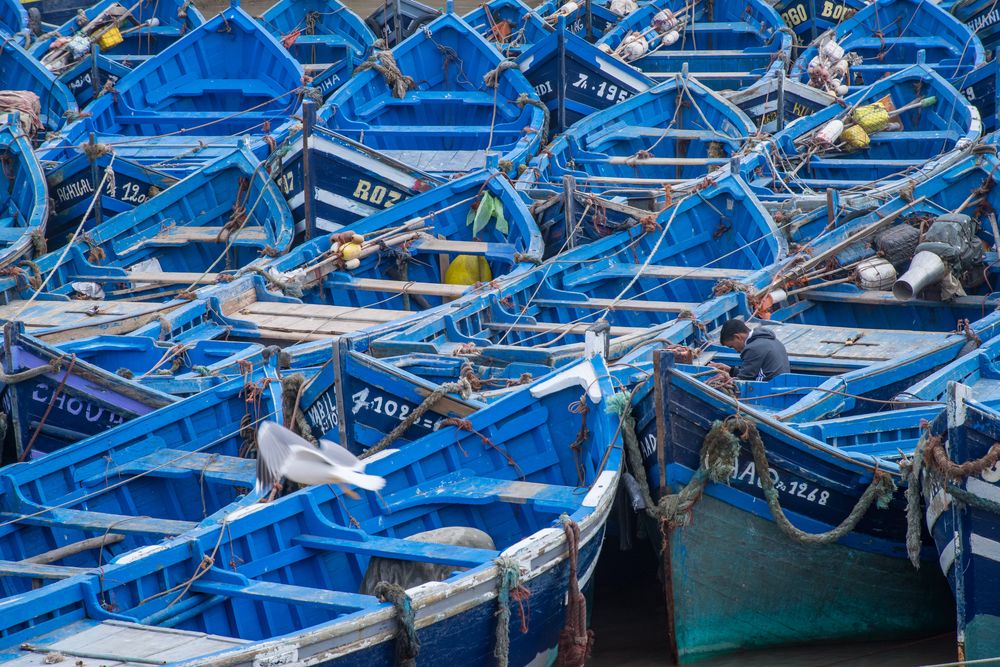 im Hafen I - Essaouira/Marokko 