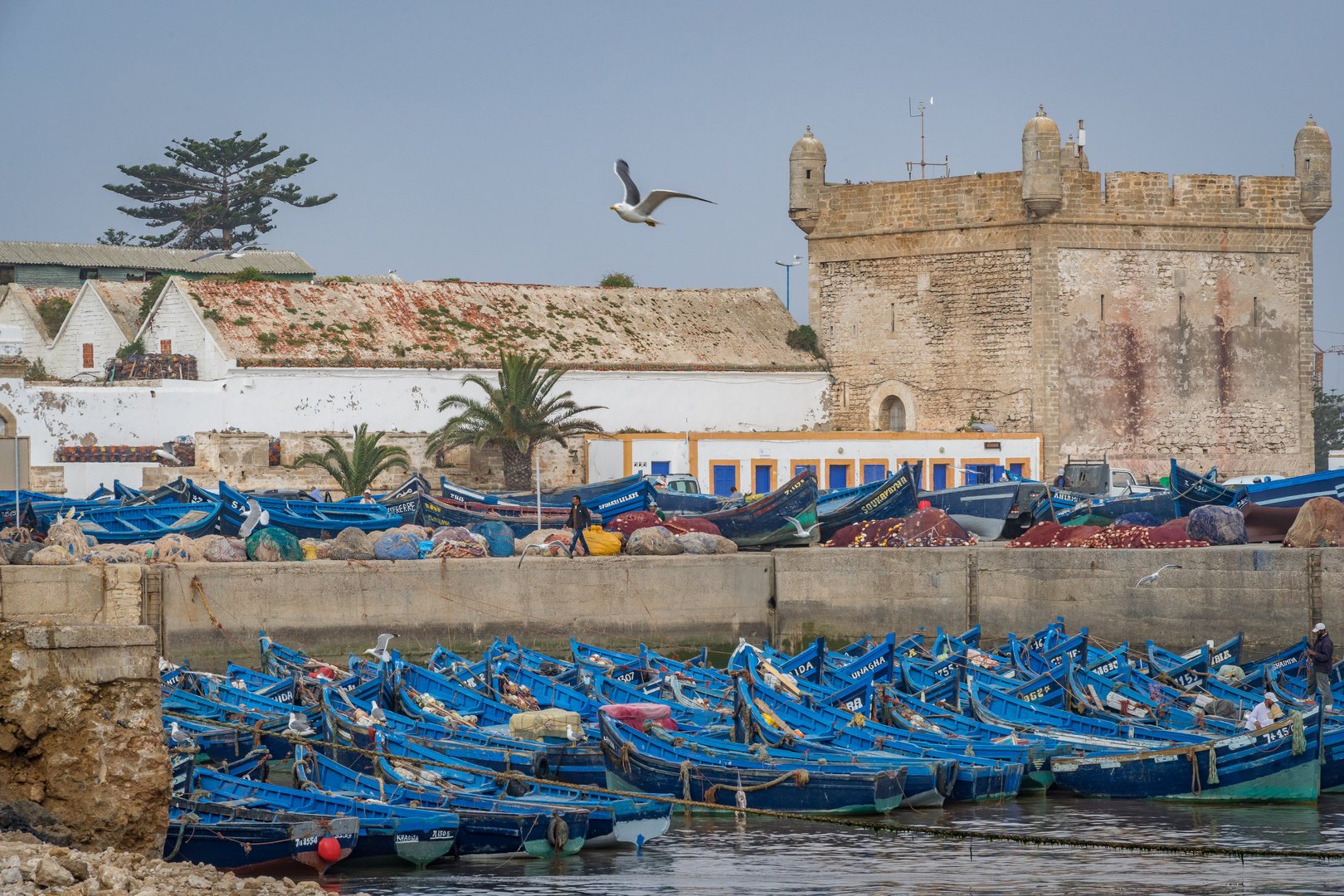 im Hafen III - Essaouira/Marokko