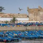im Hafen III - Essaouira/Marokko