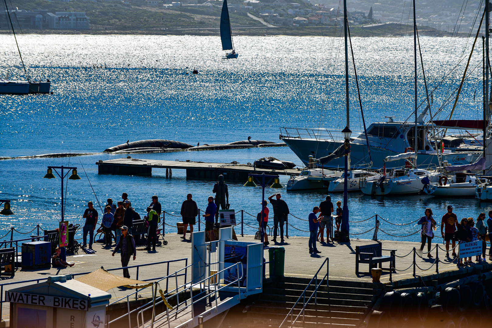 Im Hafen ist immer was Los.                 DSC_5179