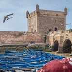 im Hafen IV - Essaouira/Marokko