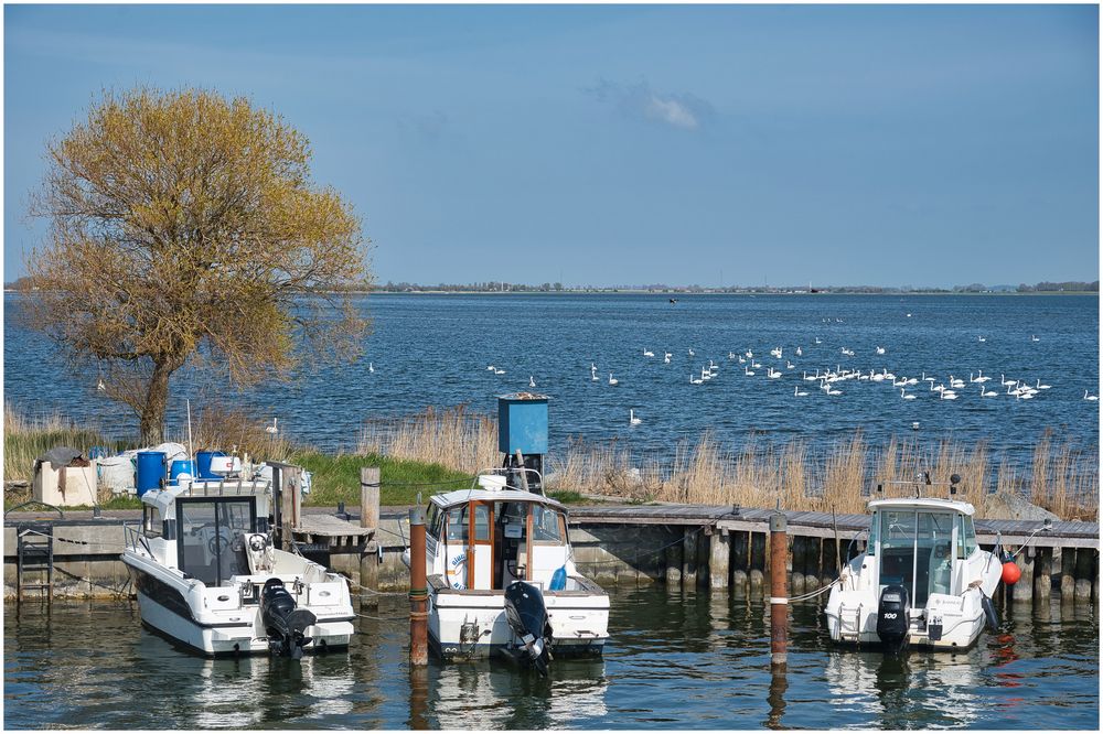 Im Hafen Neuendorf