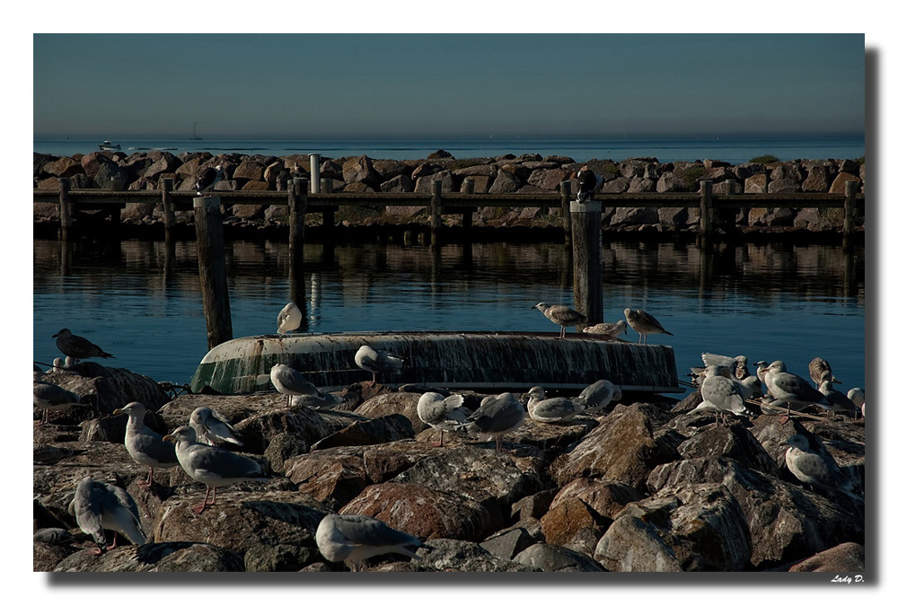 im Hafen Timmendorf