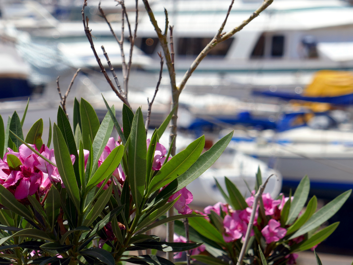 Im Hafen von Agios Nikolaos