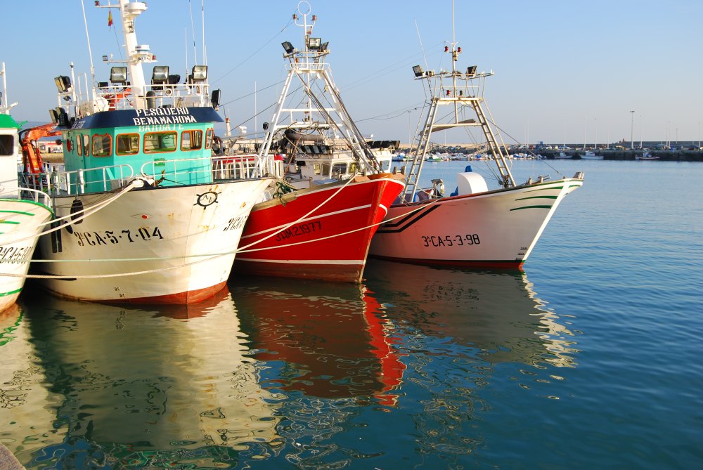 Im Hafen von Bárbate