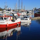 Im Hafen von Bodö