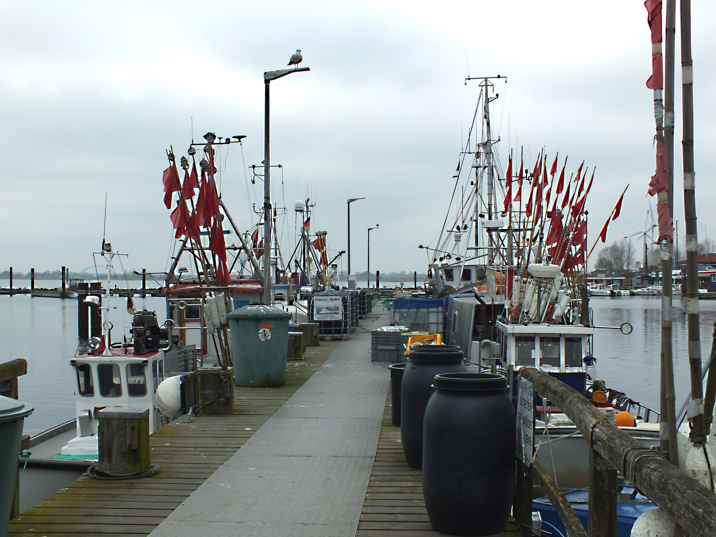 Im Hafen von Burgstaaken / Fehmarn