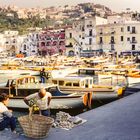 Im Hafen von Capri (II)