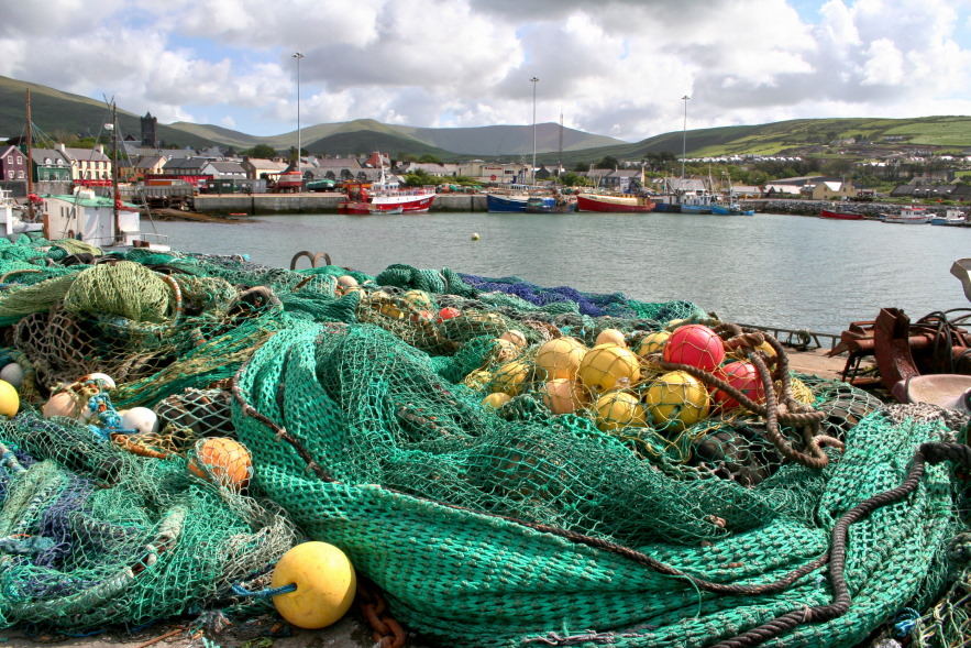 Im Hafen von Dingle