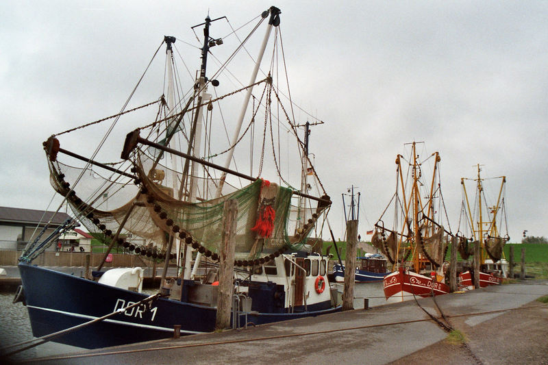 Im Hafen von Dorum