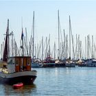 Im Hafen von Enkhuizen (NL)