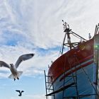 Im Hafen von Essaouira - 1