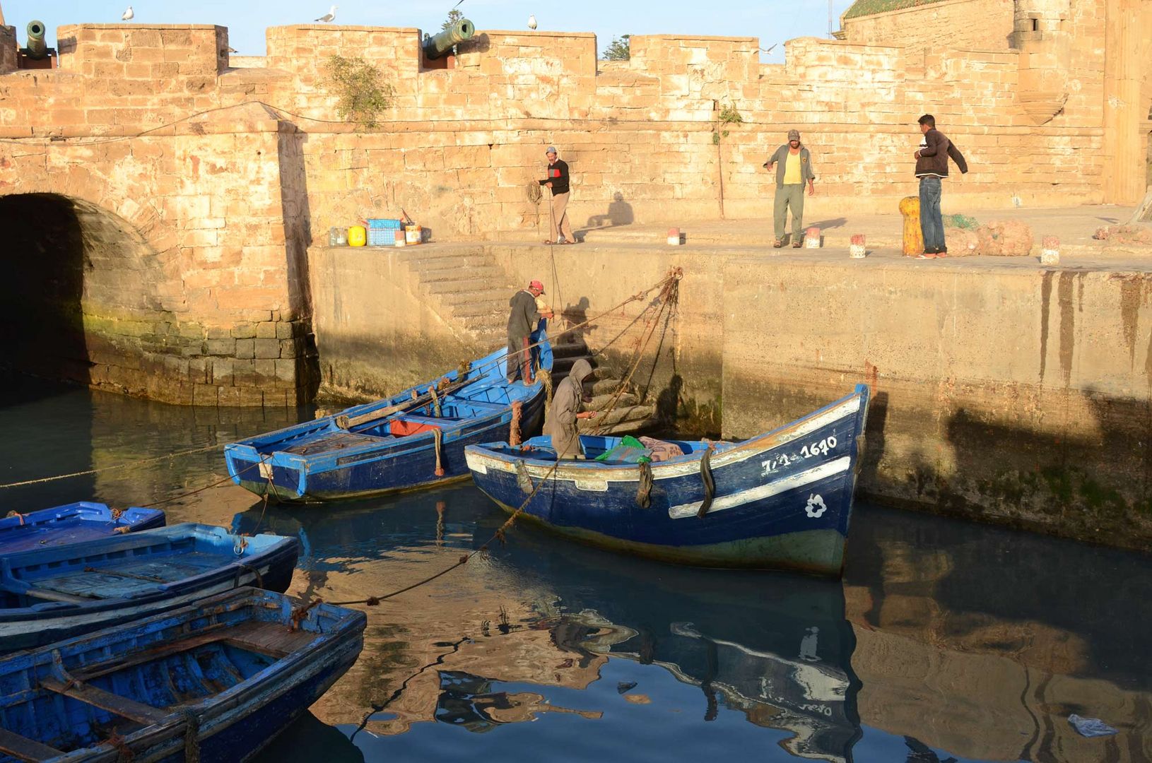 im Hafen von Essaouira