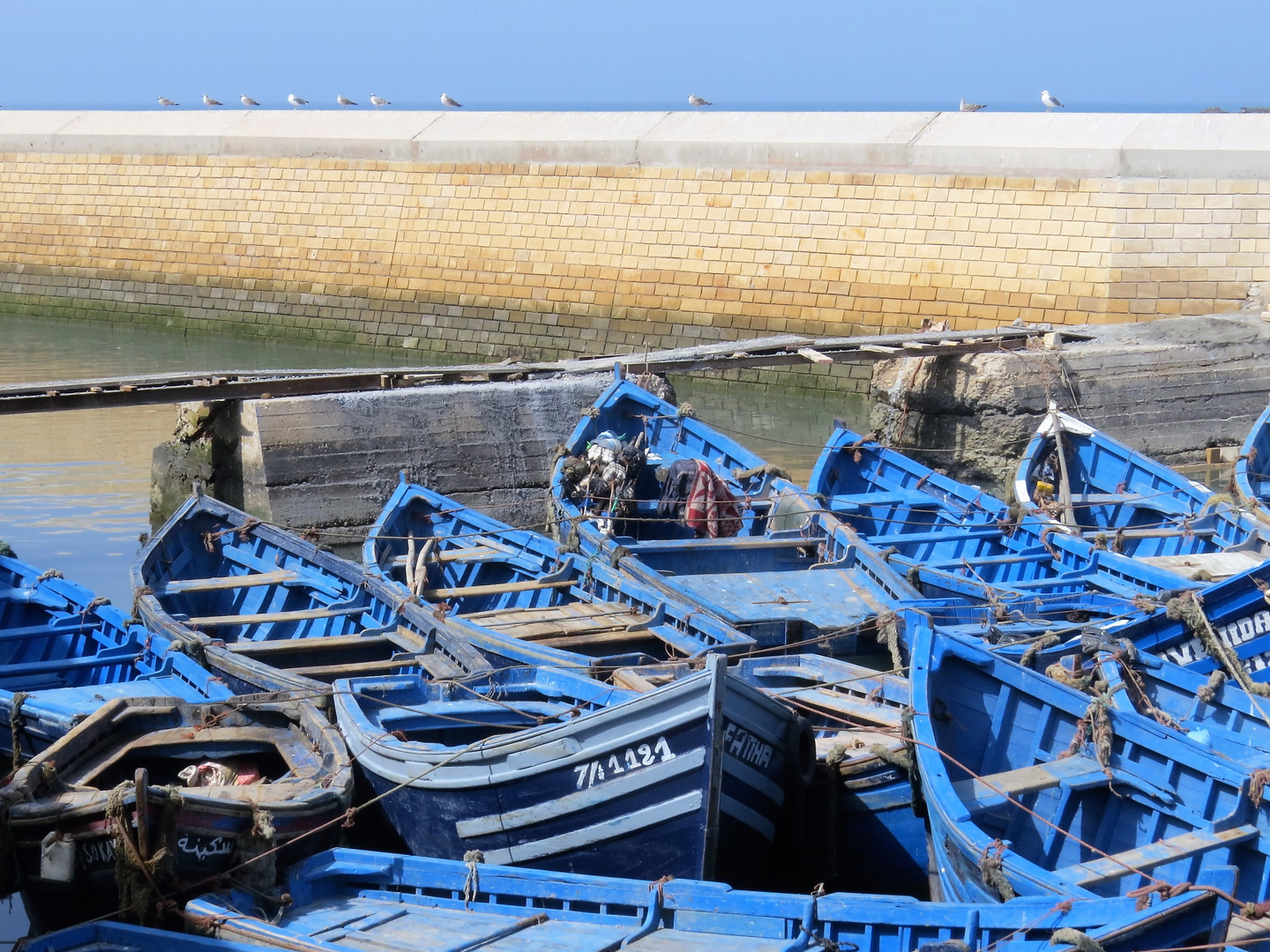 Im Hafen von Essaouira