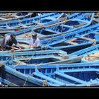 Im Hafen von Essaouira