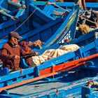 Im Hafen von Essaouira, Marokko 03.2017