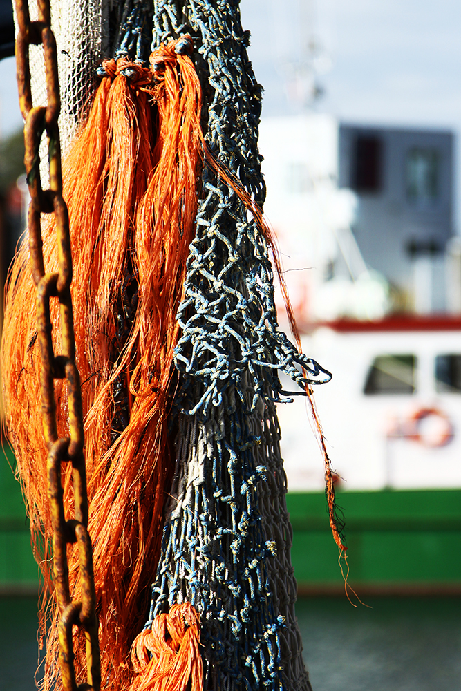 Im Hafen von Föhr