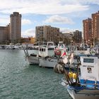 Im Hafen von Fuengirola