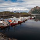 Im Hafen von Hovden/Lofoten