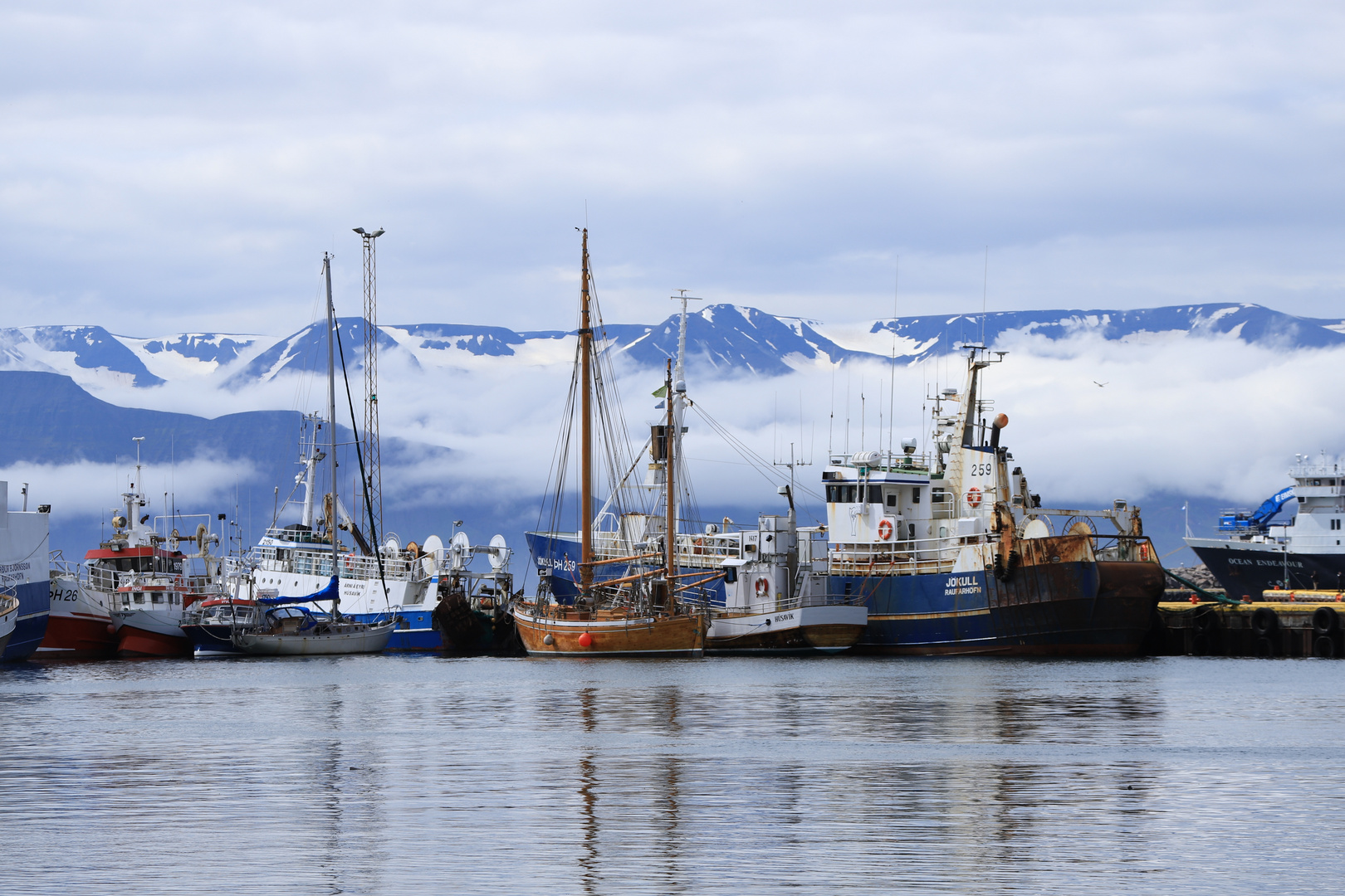 im Hafen von Húsavík