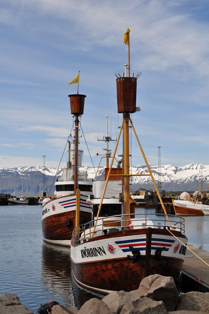 Im Hafen von Husavik (Island)