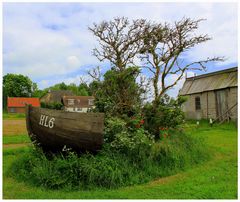 Im Hafen von Laaxum in Holland im Juni 2013